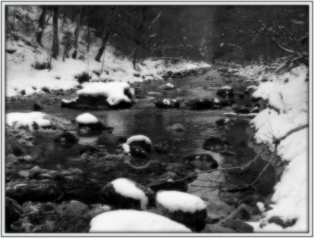 Cours d'eau proche du Chatelard (Bauges)