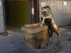 Lublin, Statue of a Goat