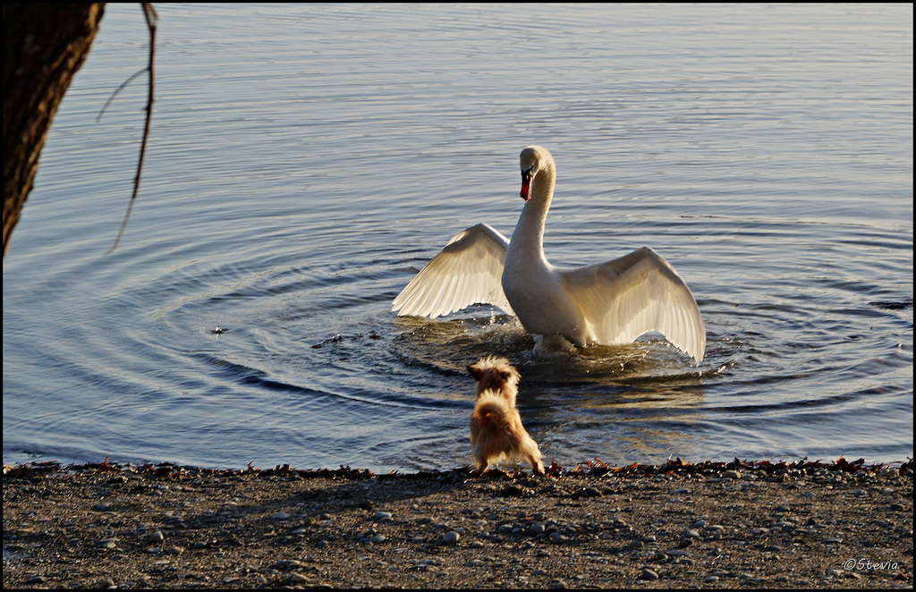 Und der Gewinner ist....  !?  ;-)