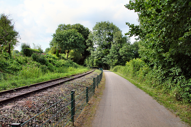 Radweg neben der Ruhrtalbahn (Witten-Bommern) / 26.07.2017