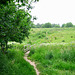 Smestow Valley Nature Reserve