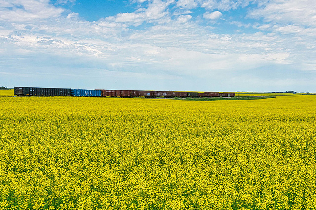 rail siding at Tuxford 5