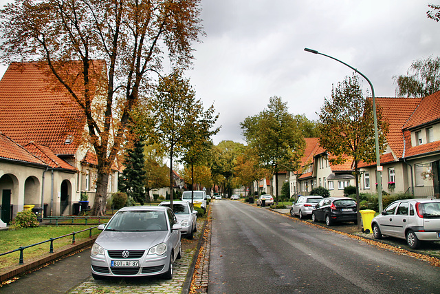 Welheimer Straße (Gartenstadt Welheim, Bottrop) / 20.10.2021