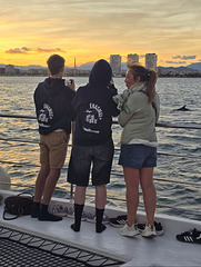 Un dauphin Un dauphin