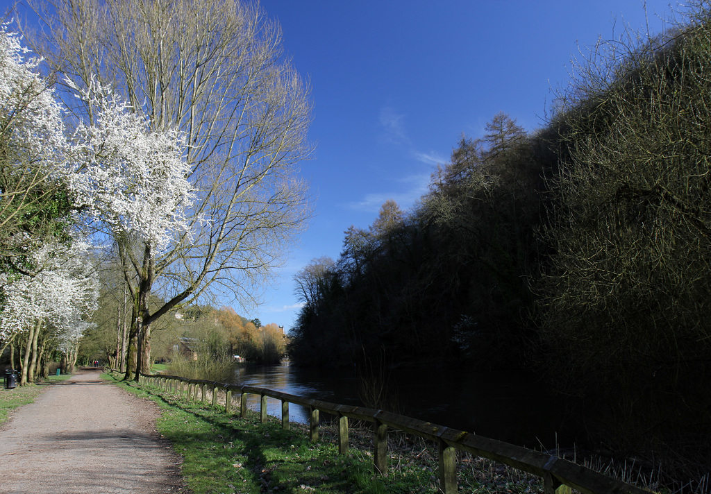 Springtime by the River Severn