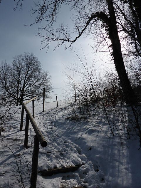 Spaziergang im März