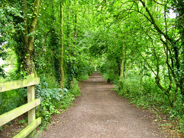 Disused railway track now used for the South Staffs Railway Walk