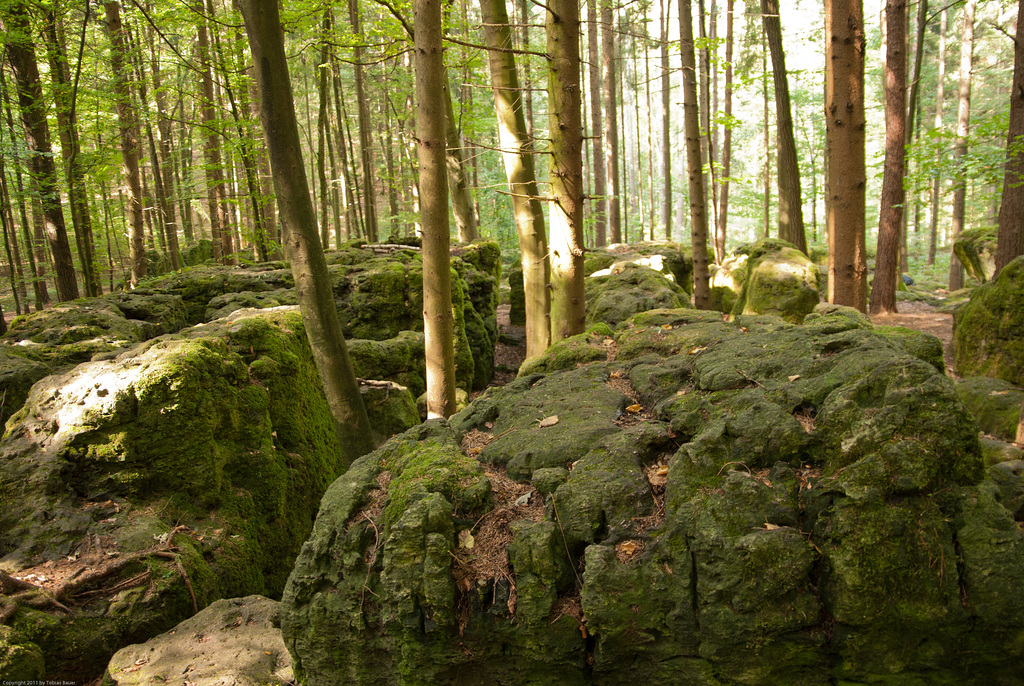 Druidenhain
