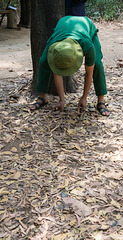 im Museum von Cu Chi - Vorführung eines Verstecks eines Einzelkämpfers (© Buelipix)