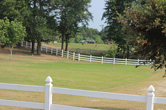 Photo # 2  )  HFF EVERYONE..... A rural scene. ~~~~  enjoy your weekend....(see the home on this property in Photo # 1  )