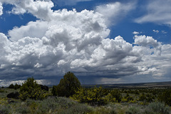 Thunder storms over the Steens