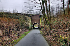 Ehem. Werksbahn Bochumer Verein, Tunnel unter der Bergisch-Märkischen Bahnstrecke (Wattenscheid-Höntrop) / 17.02.2024