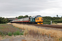37025 INVERNESS TMD leads 1Z40 06.00 Dundee - Scarborough at Spital Bridge 25th July 2026. 37025 INVERNESS TMD leads 1Z40 06.00 Dundee - Scarborough at Spital Bridge 25th July 2026.