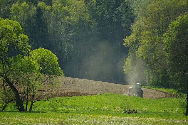 staubiger Bursche