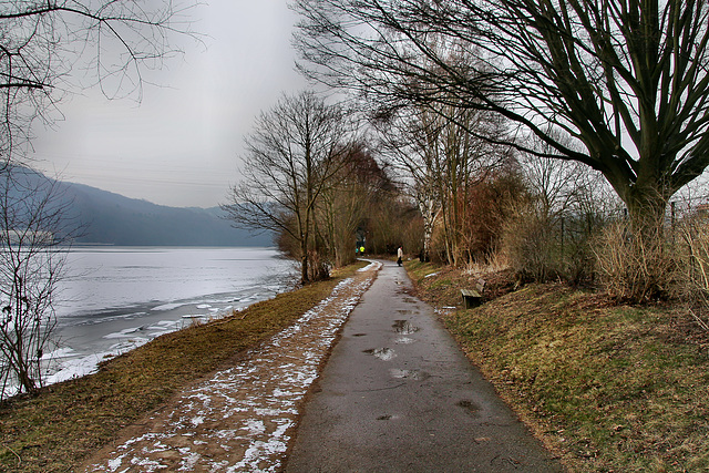 Weg am Ufer des Hensgteysees (Hagen-Hengstey) / 3.03.2018