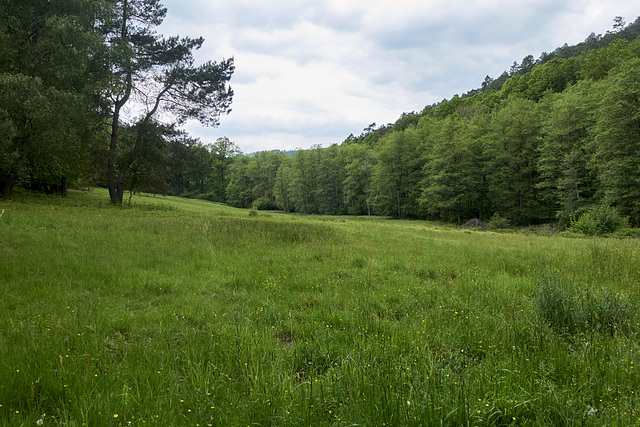 waldtal-06504-co-30-05-19