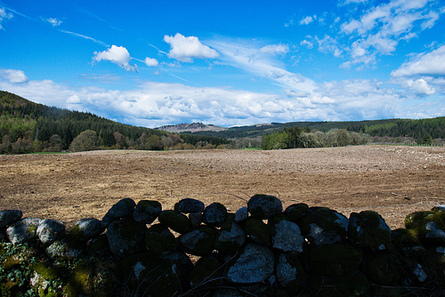 A view from New Abbey