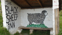 Black Sheep Inn Chugchilán
