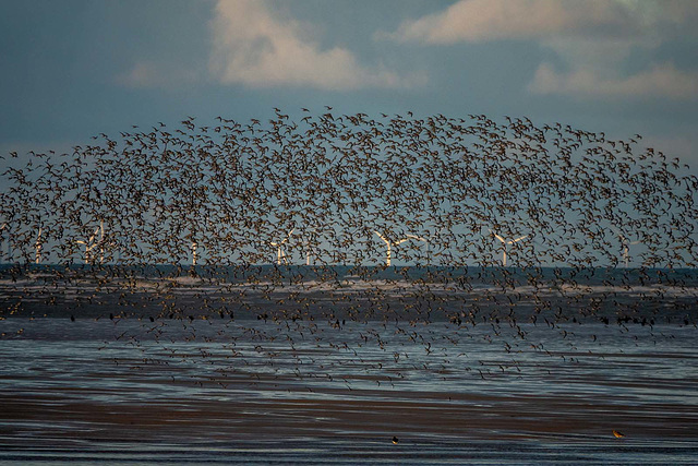 hoylake at high tide