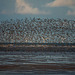 hoylake at high tide