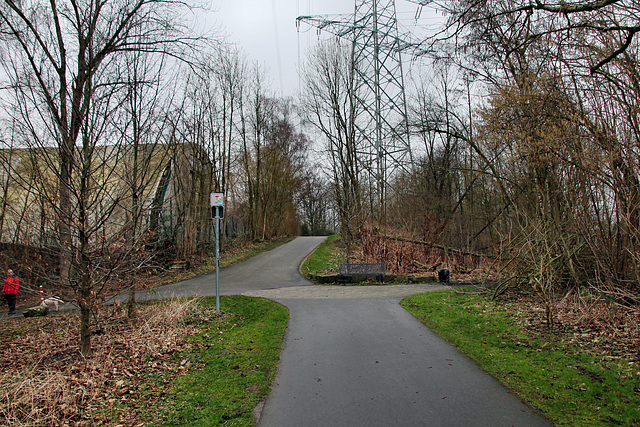 Radweg auf der ehem. Werksbahn Bochumer Verein (Bochum-Weitmar) / 17.02.2024