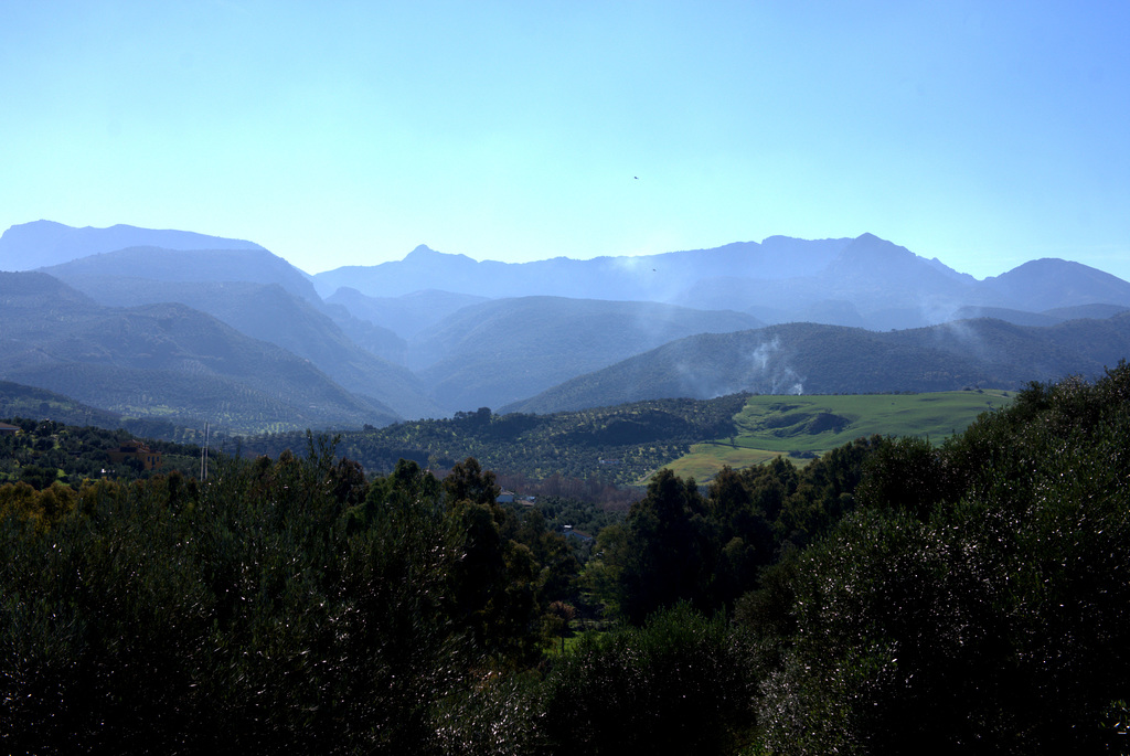 Sierra de Grazalema