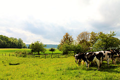 La campagne