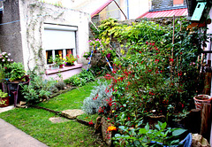 un coté de ma cour intérieur