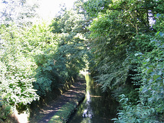Staffs and Worcs Canal at Wolverley Lodge