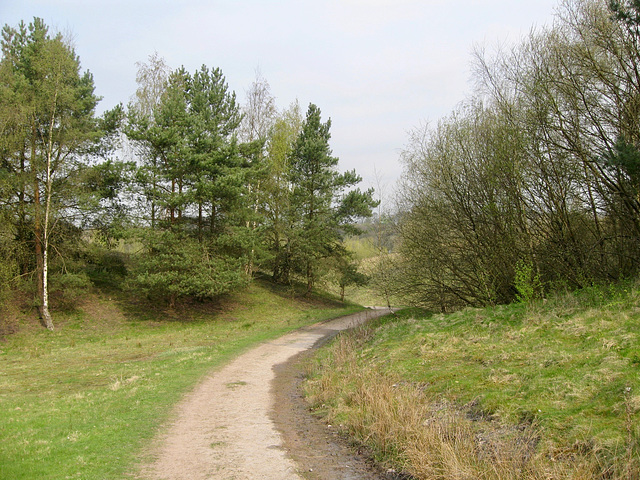 Footpath leading to White's Wood