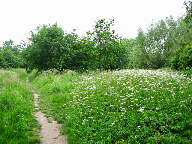 Smestow Valley Nature Reserve