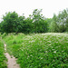 Smestow Valley Nature Reserve