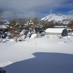 20190210 093049 001 20190210 093049 001