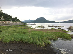 Baie -Rose au parc du Bic