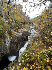 At Dog Falls on the River Affric