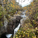 At Dog Falls on the River Affric