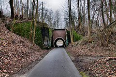 Ehem. Trasse der Werksbahn Bochumer Verein (Wattenscheid-Höntrop) / 17.02.2024