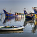 The Harbour at Cochin