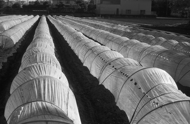 Hoop tunnels