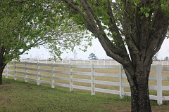 Wishing a Fun, Fine, Fence, Friday for Friends :)