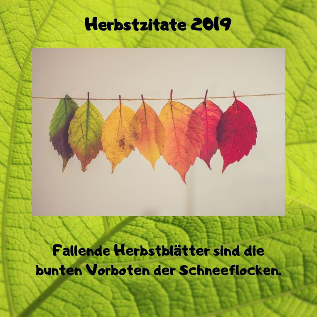 Herbstzitate 2019 - 2.