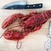 lobster 4