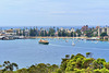 P1260050- Baie de Manly - Manly scenic walkway. 24 février 2020