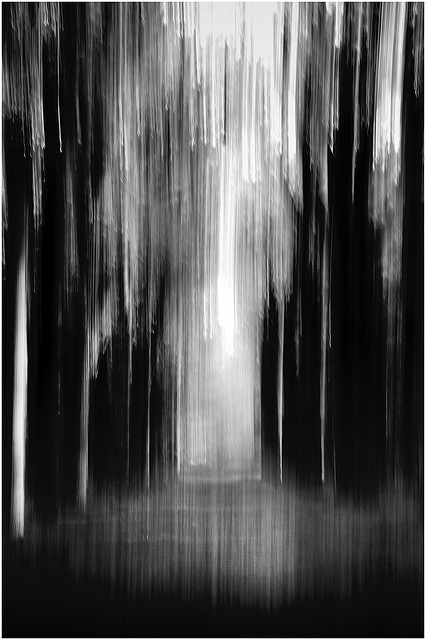 ICM Forest