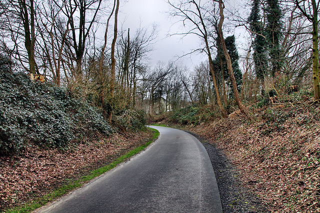 Radweg, ehemals Trasse der Werksbahn Bochumer Verein (Wattenscheid-Eppendorf) / 17.02.2024