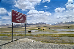 Pamir pasture, Tajikistan