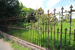 Saint Bartholomew's Churchyard, Orford, Suffolk