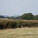 View from Churchyard of St Augustine at Droitwich