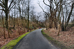 Radweg auf der ehemaligen Werksbahn Bochumer Verein (Wattenscheid-Eppendorf) / 17.02.2024