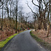 Radweg auf der ehemaligen Werksbahn Bochumer Verein (Wattenscheid-Eppendorf) / 17.02.2024